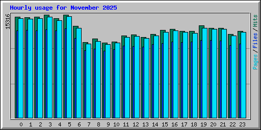 Hourly usage for November 2025