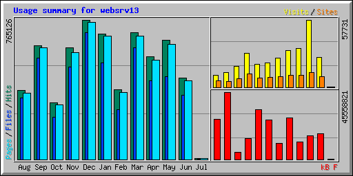 Usage summary for websrv13